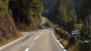 Tacx DVD Real Life Video - Black Forest