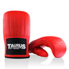 /taurus/boxing/taurus_light_u.jpg