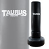 /taurus/boxing/taurus_standboxsack_boxing_trainer_001_u.jpg
