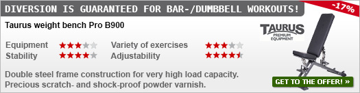 Taurus weight bench Pro B900