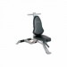 BodyCraft Hantelbank F603