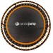 cardiojump Fitness Trampoline 125 cm Product picture