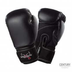 Century boxing gloves I Love Kickboxing Produktbillede