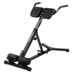 Darwin Back Trainer Hyperextension Product picture