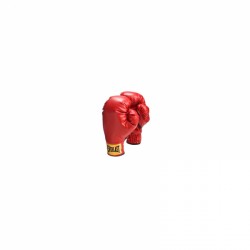 Everlast Jugend Boxhandschuhe Produktbild
