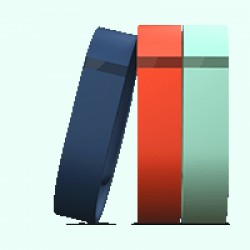FitBit Zubehörpaket für Armband Flex Produktbild