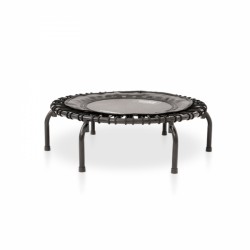 JumpSport Fitness rebounder model 220 purchase online now