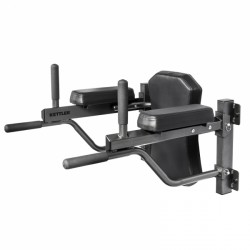 Kettler Dip module for wall bars purchase online now