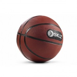 SKLZ Pro Mini Hoop basketball purchase online now