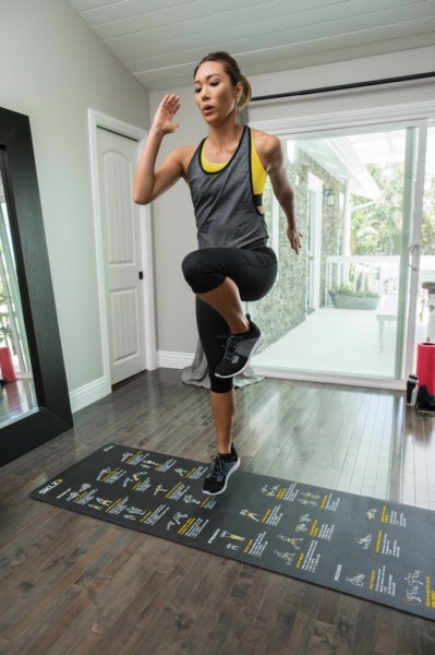 sklz exercise mat