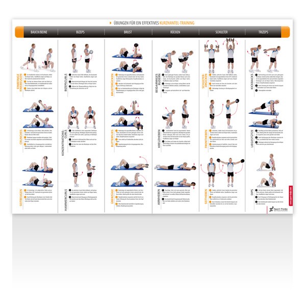Sport-Tiedje dumbbell exercise poster Product picture