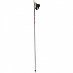 Swix Nordic Walking pole Sonic Carbon purchase online now