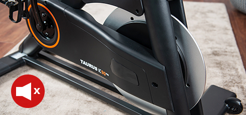 Cyclette Indoor Taurus IC90 Pro Allenamento silenzioso
