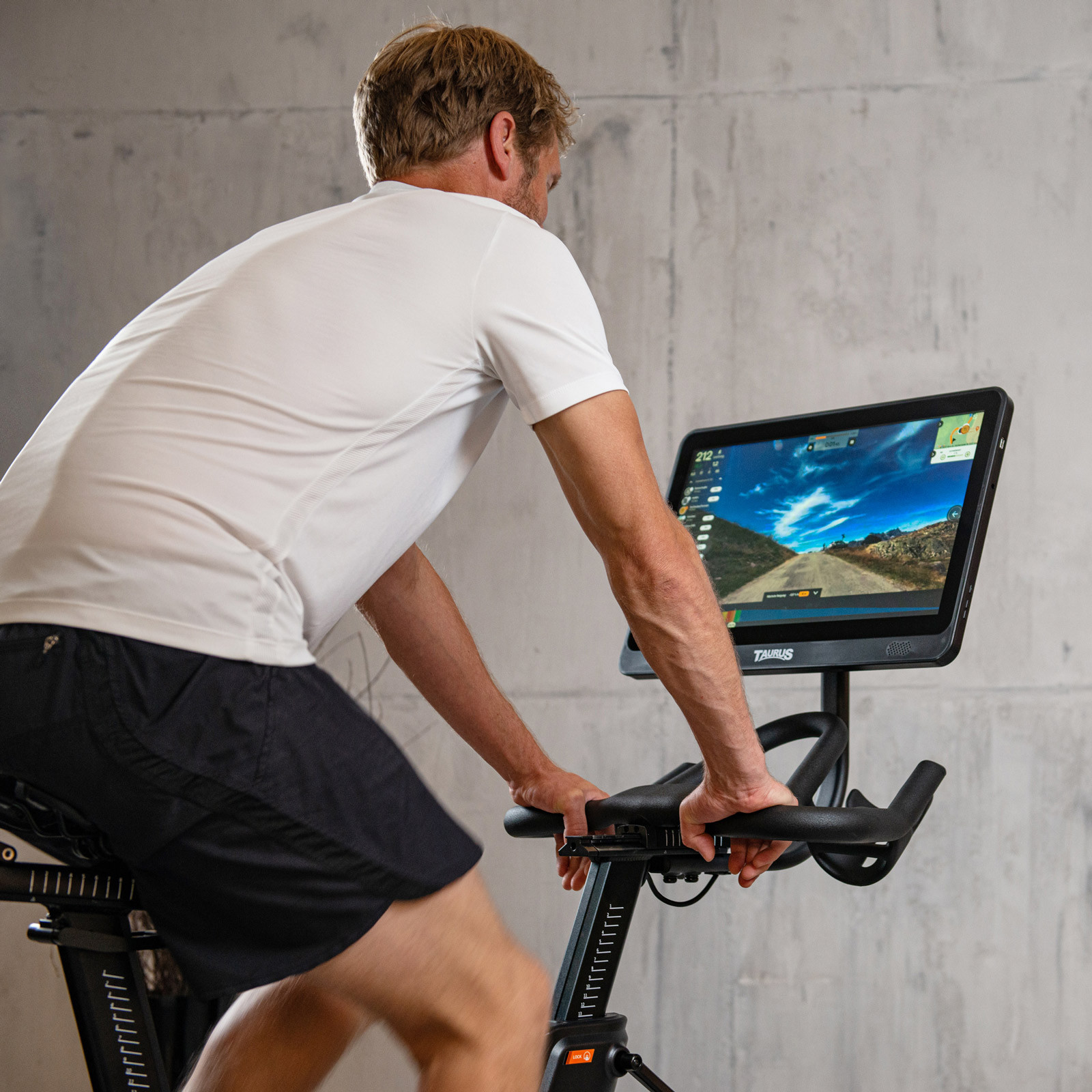 Igo Model Wheelspeed Smart LCD Display For Aries Electric Bike