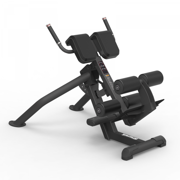 Produktbild: Taurus Elite Roman Chair | Rückentrainer