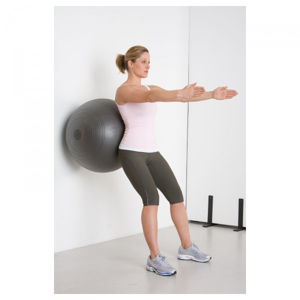 Swiss ball Togu Power Challenge ABS Photos du produit