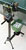 TTmatic Tischtennis Roboter 303C