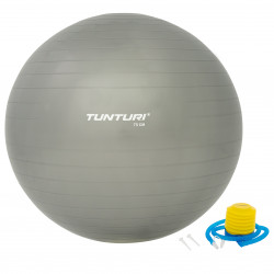 Tunturi Gymball silber Produktbild