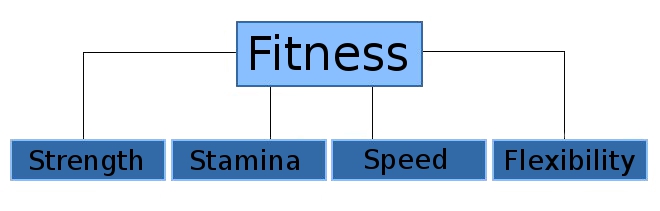 Konditionelle Leistungsfaktoren