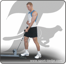 Biceps curl with rotation