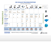 Die idealen Trainingspartner
